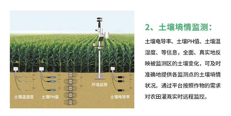 自动灌溉系统