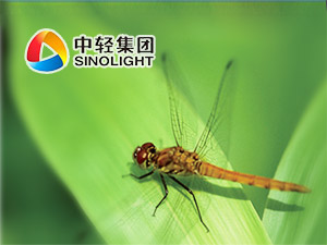 �й��Ṥ���ֻ�����