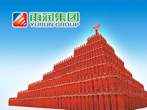 ���������ֻ�����