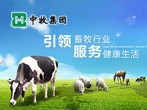 �����������ֻ�����