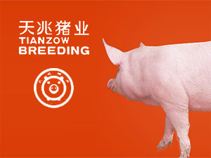 ������ҵ���ֻ�����