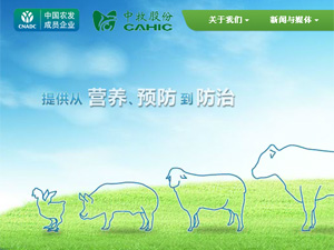 �����ɷ����ֻ�����