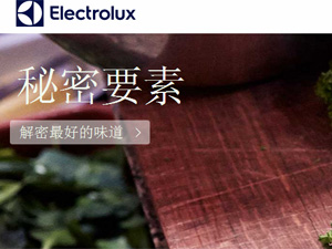 ������˹���ֻ�����