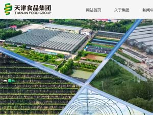 ���ʳƷ�������ֻ�����