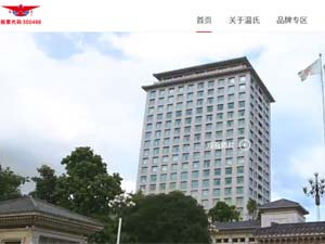 ����ʳƷ�������ֻ�����