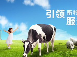 �й��������ܹ�˾���ֻ�����