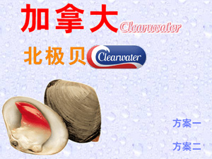 ���ô󱱼������ֻ�����