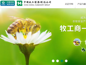 �����ɷ����ֻ�����