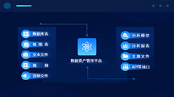 丰富的数字资产类型